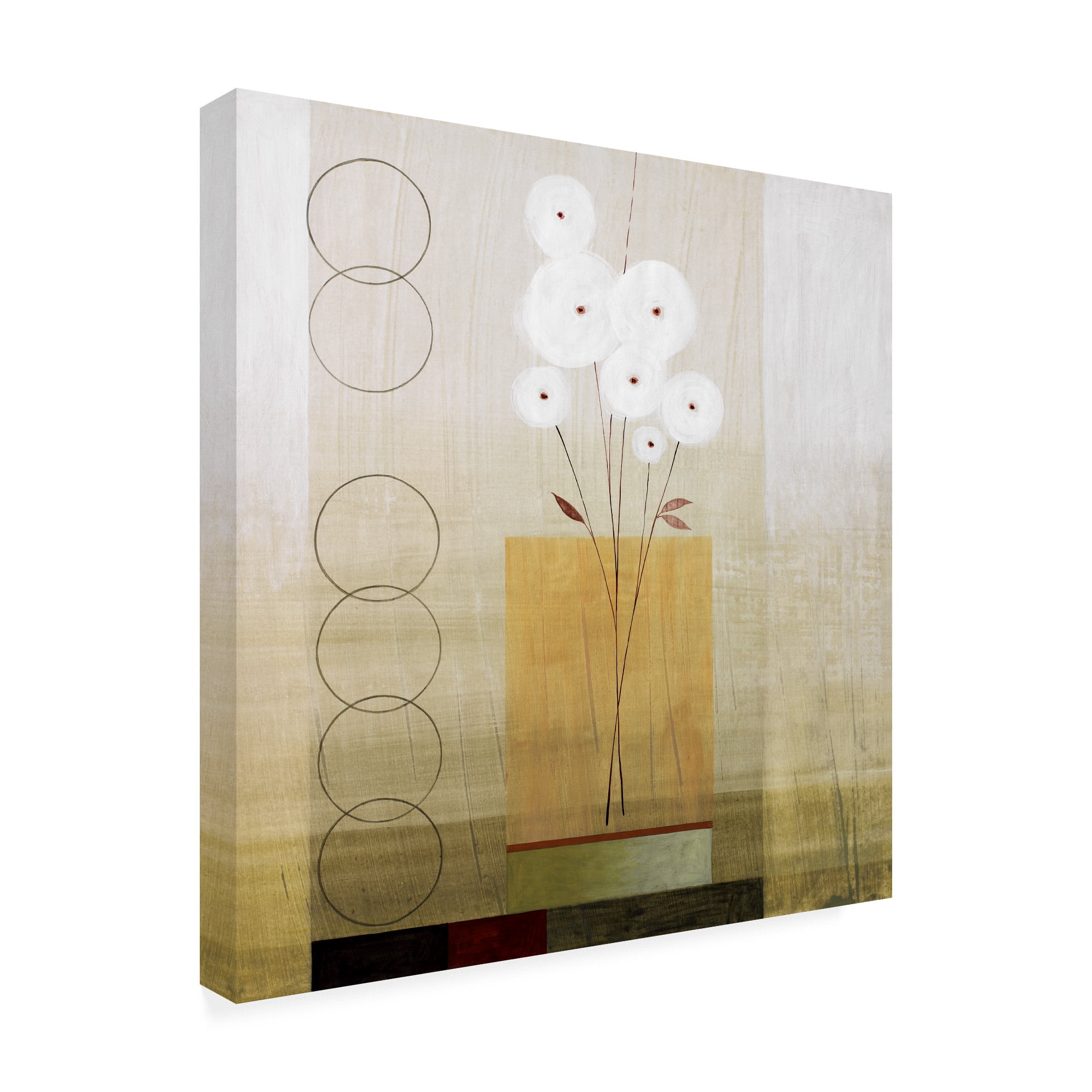 Trademark Fine Art Floral Canvas Art ' White Flowers With Circles ' by Pablo Esteban
