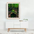 thumbnail image 3 of Tree Stump in the Woods - Photography Forest Nature Autumn Rustic Scenic Botanical Landscape Unframed Wall Art Print 36 x 48 inches, 3 of 4