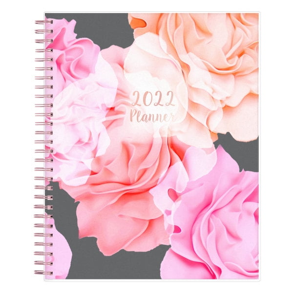 Blue Sky Frosted Monthly Safety Wirebound Planner, 8' x 10', Joselyn, January to December 2022, 110395