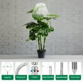 thumbnail image 6 of 8 inch Grow Lights for Indoor Plants,Large Plant Light with 3 Timers, 10 Level Dimmable Brightness, Full Spectrum Plant Lamp, Height Adjustable for Tall Plants, 6 of 7