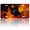Black Cat Surrounded by Flames, variant on 1 Pcs License Plate Covers & Frames, Black Calf with Flowers and Butterflies For Decorative Front, Waterproof For Decoration Aluminum License Plate Covers & Frames Cover For Men Women, 12" X 6"