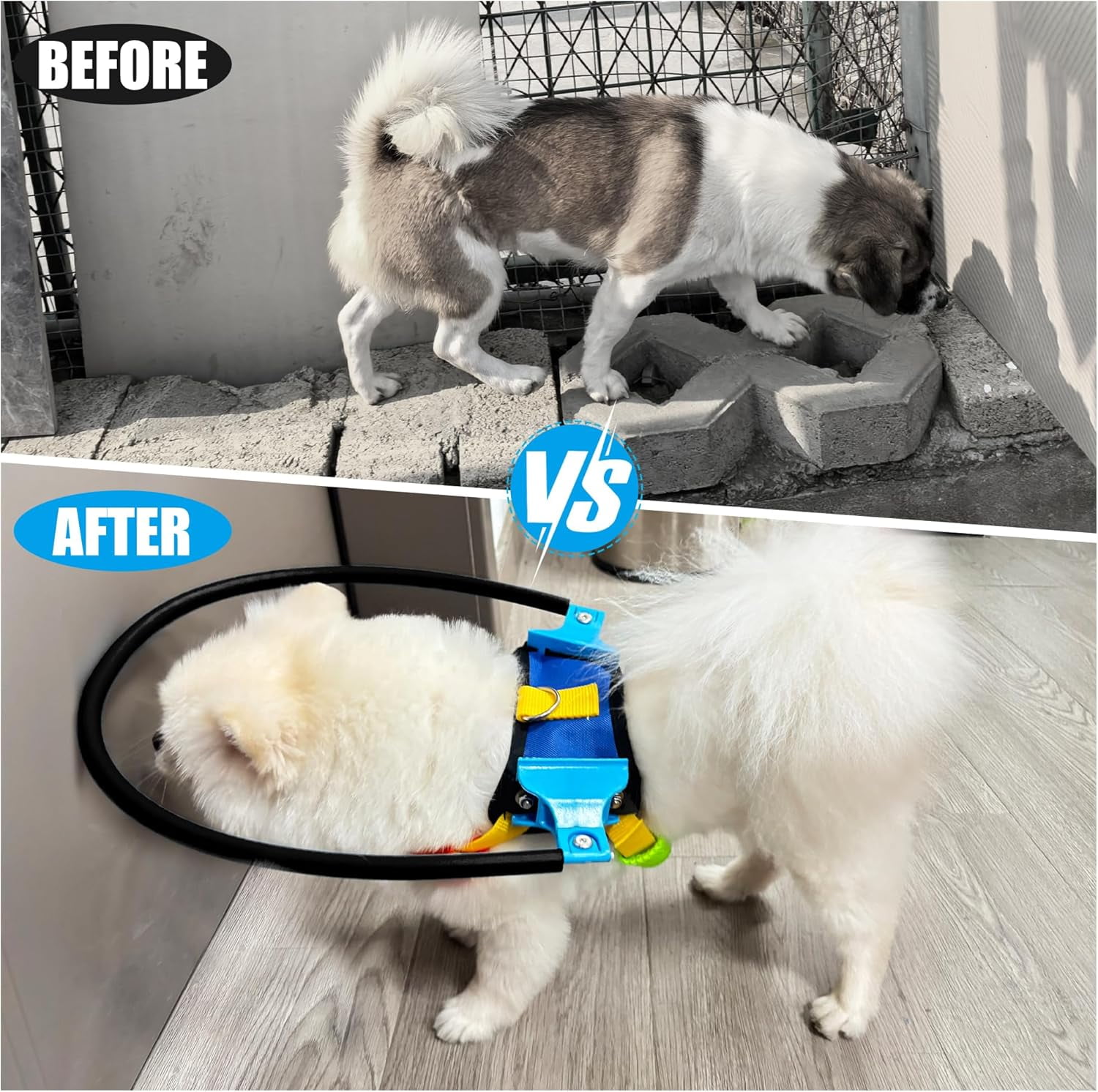 LetPetRun Blind Dog Halo Harness, Protective Confidence Building Harness for Visually Impaired Dogs, Lightweight & Safe,XXS