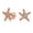 Rose, variant on Bling Jewelry Womens Delicate CZ Stud Earrings Nautical Starfish in Rose Gold Plated Sterling Silver