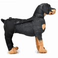 thumbnail image 3 of Dog Elbow Brace Protector Pads Pet Dog Hind Legs Protector Adjustable Dogs Knee Brace Leg Support, 3 of 5