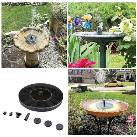 pond pool