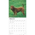 BrownTrout, SharPei 2025 Wall Calendar