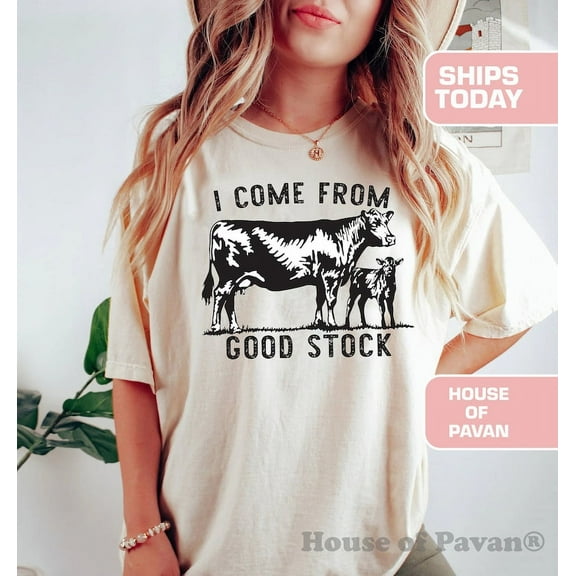 Good Stock Western Shirt, Vintage Inspired Retro Tee, Western Graphic Tee, Boho Shirt for Women