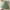 Green, variant on Juslio Girls Dresses Round Neck Kids Flower Clothing Short Sleeve Solid Casual Girl Dress