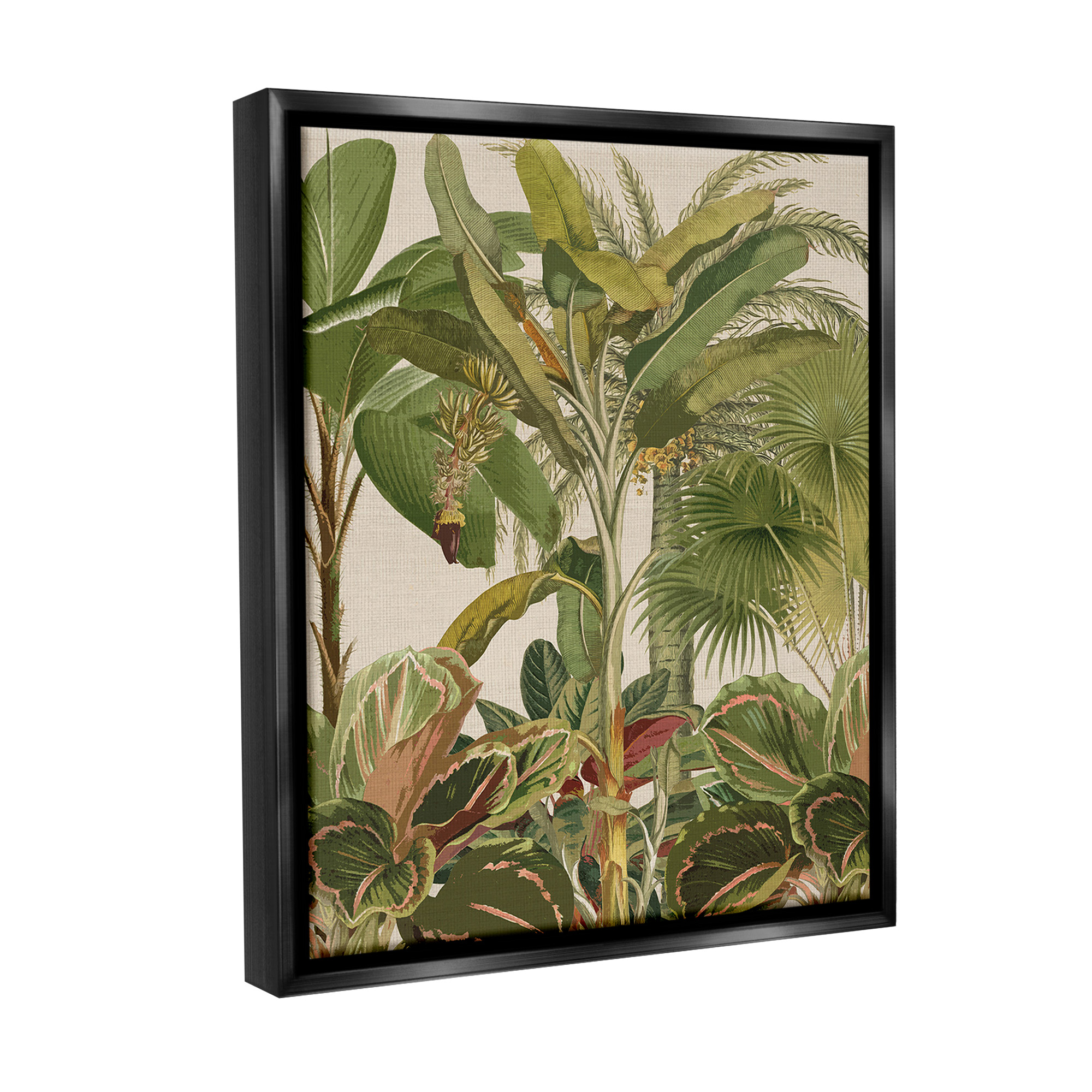 Stupell Industries Tropical Jungle Vegetation Botanical & Floral Painting Black Floater Framed Canvas Art Print Wall Art, 25 x 31