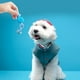thumbnail image 4 of Juguete para Perro Mascota Cuerda Doble Nudo Juguete Limpieza Dientes Juguete Mascota No Puede, 4 of 6