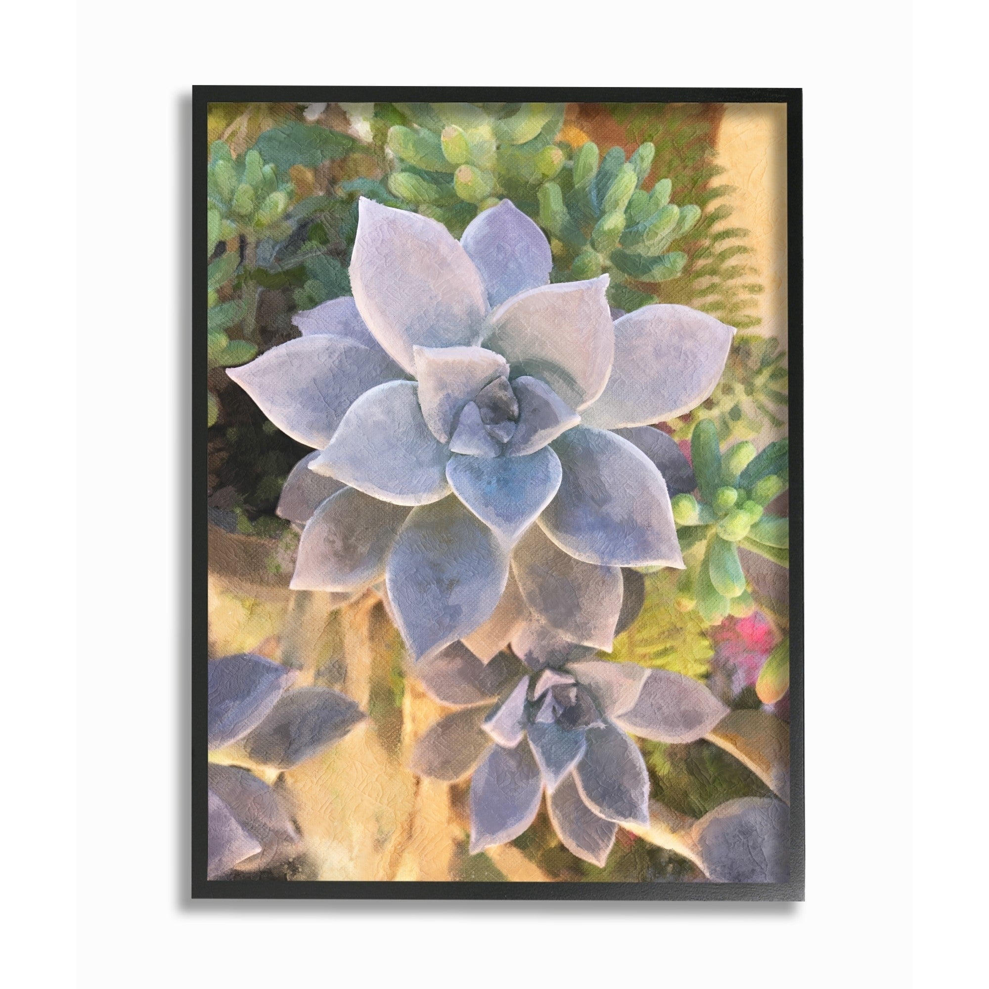 The Stupell Home Decor Collection Succulent Plant Desert Party Painting Framed Giclee Texturized Art, 11 x 1.5 x 14