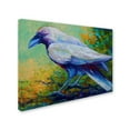 thumbnail image 2 of Trademark Fine Art 'Raven 2' Canvas Art by Marion Rose, 2 of 3