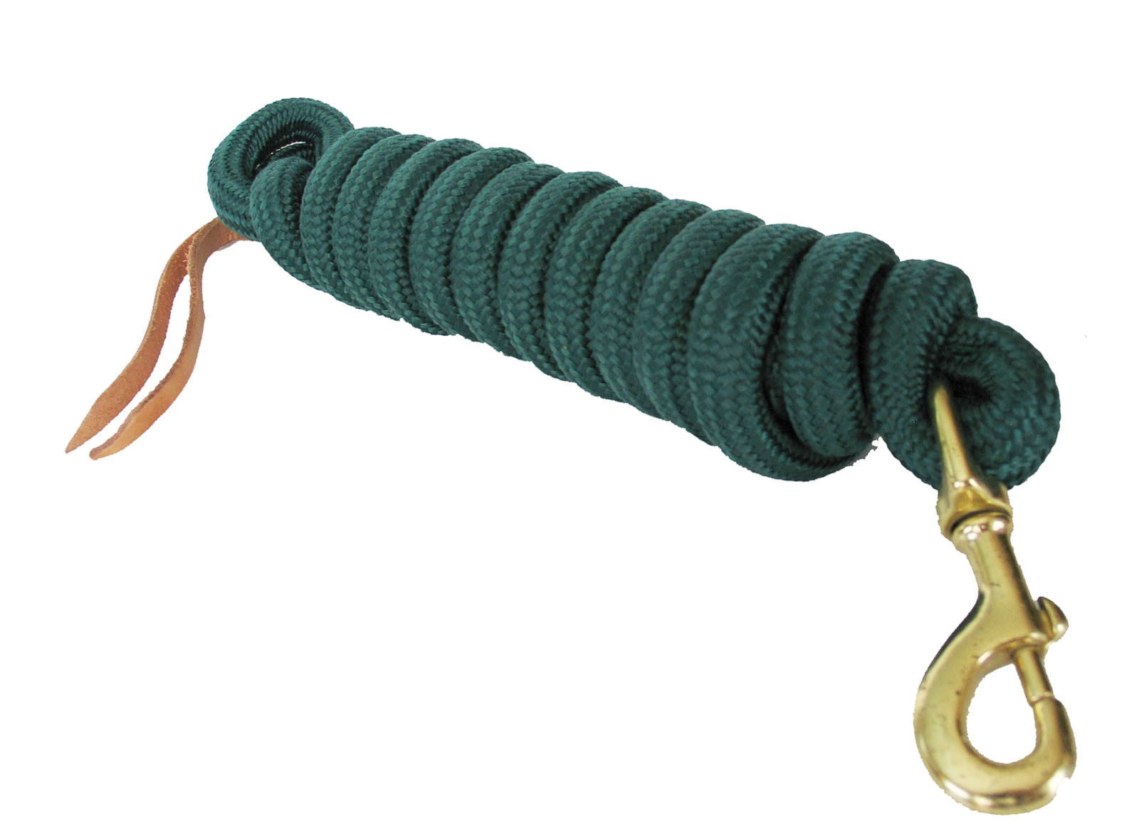 AJ Tack Wholesale 9 Foot Nylon Lead Rope with Leather Popper