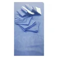 thumbnail image 2 of Campo Sencillo De 45 X 45 Cm Estéril Y Desechable (30 Pzas), 2 of 2