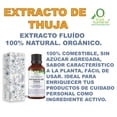 thumbnail image 2 of EXTRACTO DE THUJA 60 ML VIVONATURAL. 100% NATURAL. ORGÁNICO, 2 of 3