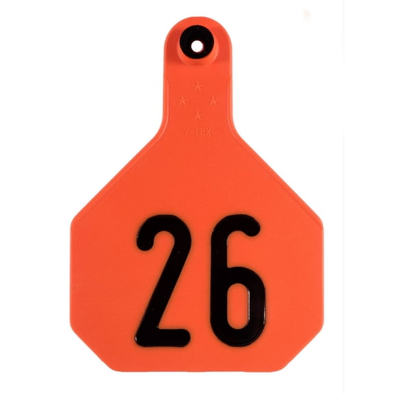 Y-Tex Large, Numbered (25) Color: Orange Number: 51-75
