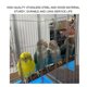 thumbnail image 3 of Stainless Steel Medium Small Parrots Mirror with Wooden Standing Rod Bird Cage Accessory, 3 of 4