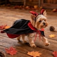 thumbnail image 7 of 2 Pack, Small Dog Halloween, Halloween for Dogs, Halloween for Cats, Kitten Halloween, Witch Vampire Outfit for Halloween Party, Purple Pet Dress Set, 7 of 7