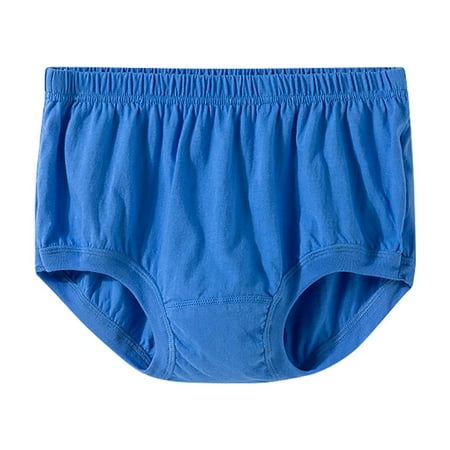 Ashirexll Womens Underwear Plus Size Sleep Shorts for Elderly Women Plus Size Cotton Panties Casual Loose Elastic Waist Shorts Blue XXL