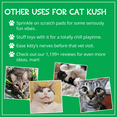 thumbnail image 6 of Organic Catnip by Cat Kush, Safe Premium Blend Perfect for Cats, Instilled with Maximized Potency your Kitty is Sure to Go Crazy for (1 Cup), 6 of 6