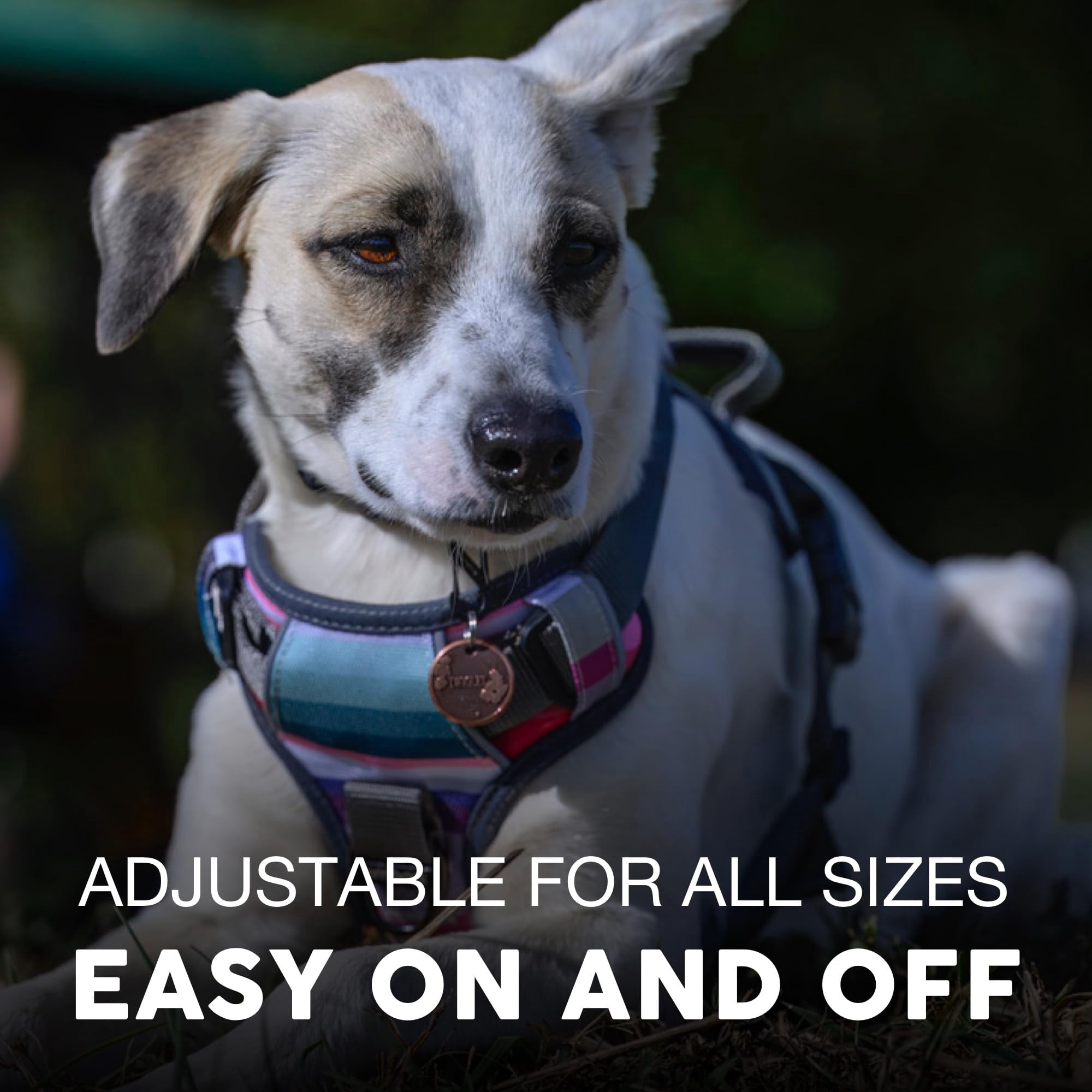 Embark Adventure Dog Harness For Small  Medium & Large Dogs - No Pull Reflective Trim Heavy Duty Oxford 2 Leash Clips Gel-lined Handle Soft Padded