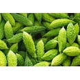 thumbnail image 4 of CZ Grain 10 Green Bitter Gourd Vine Plant Seeds, 4 of 4