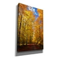 thumbnail image 2 of Epic Graffiti 'Way to Fall' by Philippe Sainte-Laudy, Canvas Wall Art, 26"x40", 2 of 8