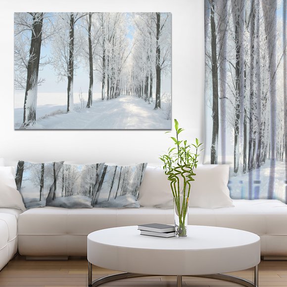Beautiful Winter Forest Lane Photo - Large Forest Canvas Art Print