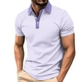 thumbnail image 2 of DayScoop Plus Size T-Shirt for Men Solid Color T Shirt Summer Short Sleeve Casual Fashion Buttons Striped Dry Sporty Breathable Turndown Collar Tops, 2 of 5