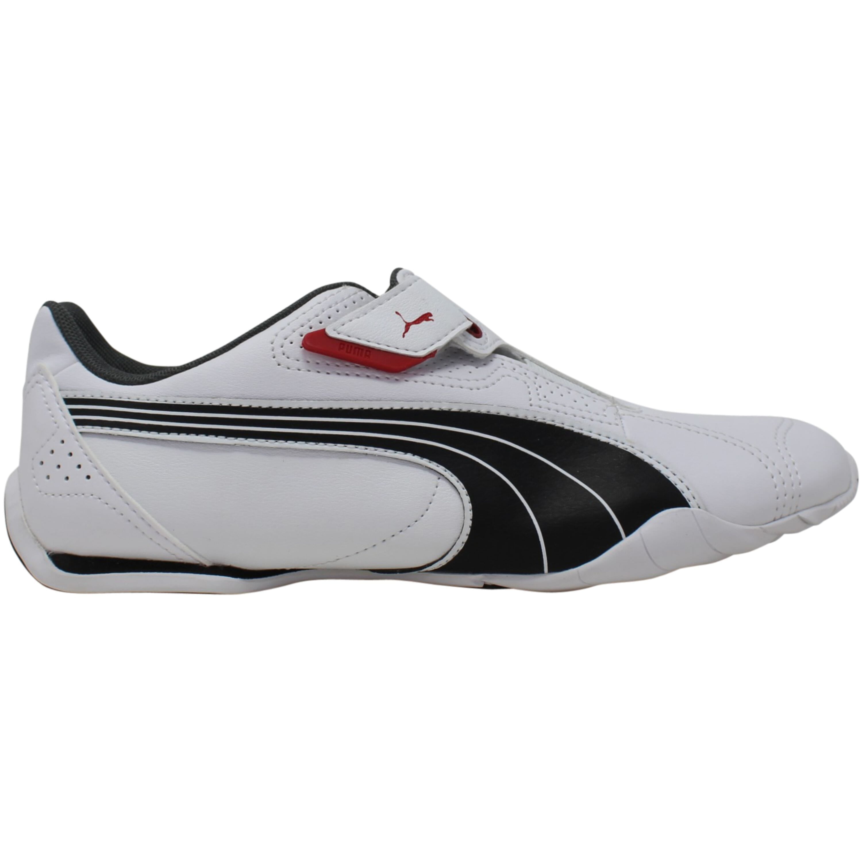 Puma Redon