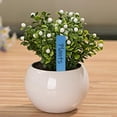 thumbnail image 5 of Plant Labels for Outdoor Garden Pots Seedling- Plastic Waterproof Multicolored Plant Tags 4 inch (300pcs), 5 of 7