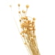 thumbnail image 5 of Ramo de Flores Secas Artificiales ANGGREK Arreglo de Flores DIY, 5 of 5