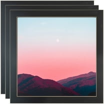 ArtToFrames 18" x 36" Raw Edge Black Picture Frame, 18x36 inch Black MDF Poster Frame (WOM-4460), 3 Pack