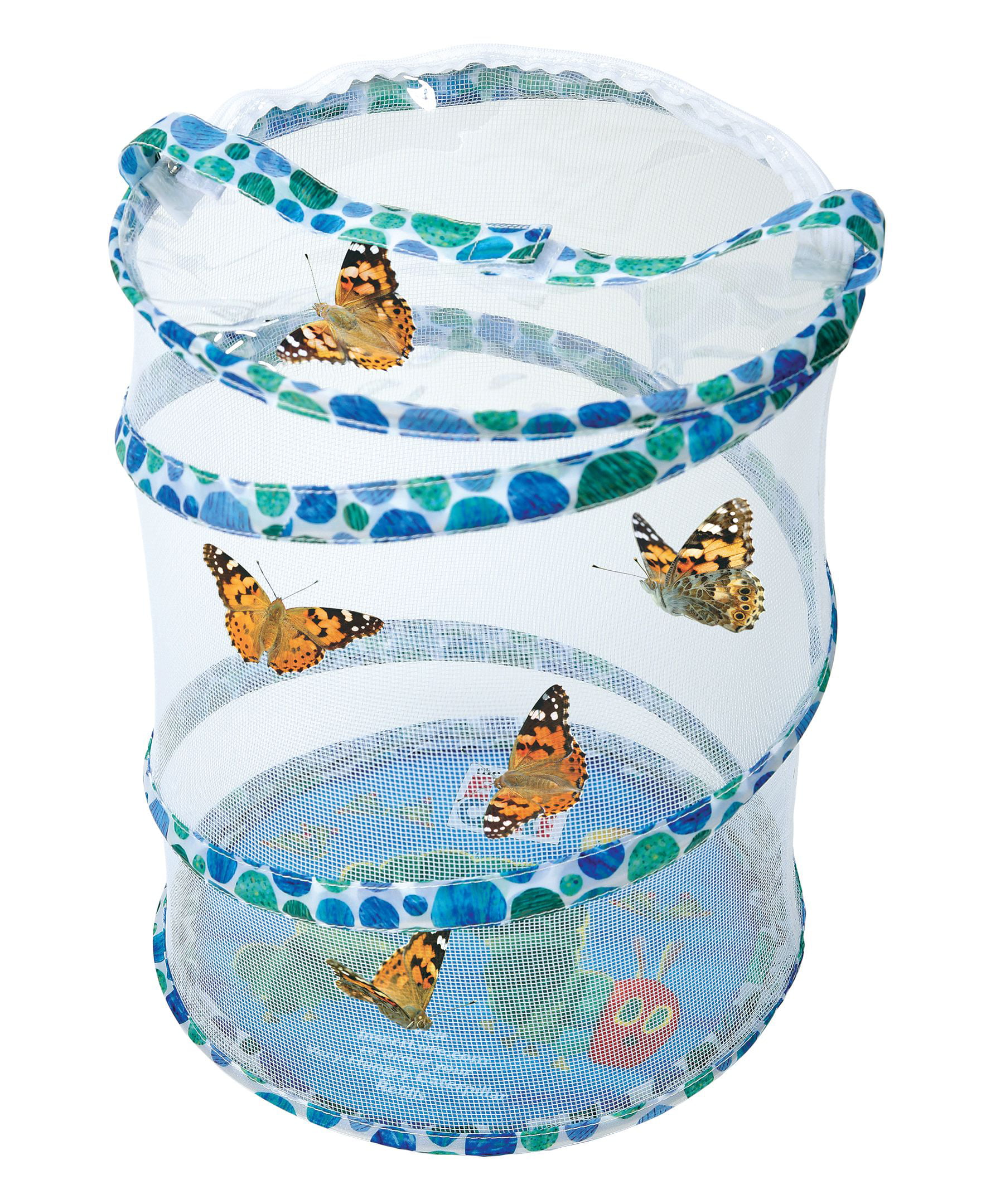 The Very Hungry Caterpillar Butterfly Growing Kit LIVE Kids Quarantine Fun Learn