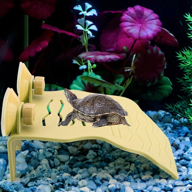 Mgaxyff Turtle Basking Platform, Floating Island for