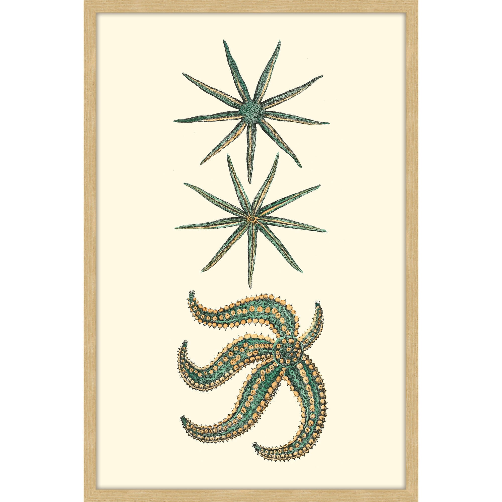 Marmont Hill "Green Starfish" Framed Painting Print