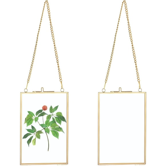 shiyou-2pcs Gold Glass Hanging Picture Frame, Brass Double-Sided Artwork Display Frame for Pressed Flower, Portrait Picture, Poster, Photo, Gallery Wall Hanged Frame Decoration for Home Office(Vertic