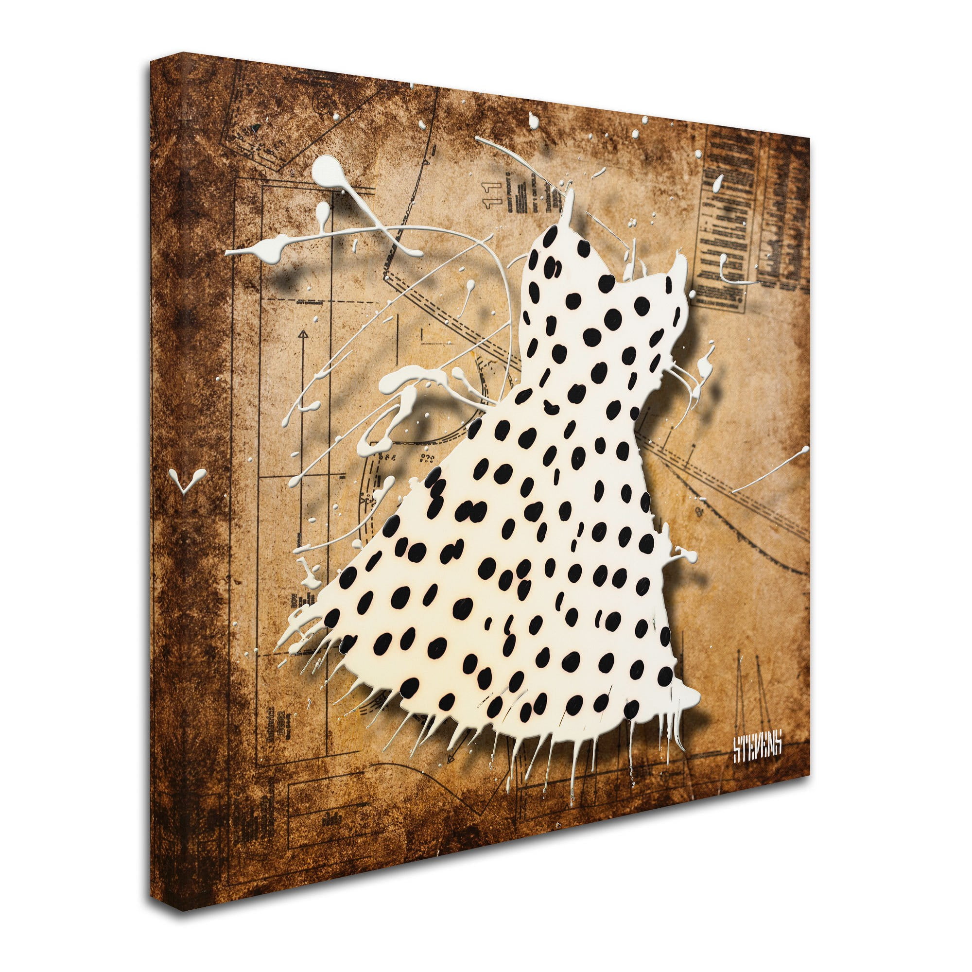 Trademark Fine Art "Black on White" Canvas Art by Roderick Stevens