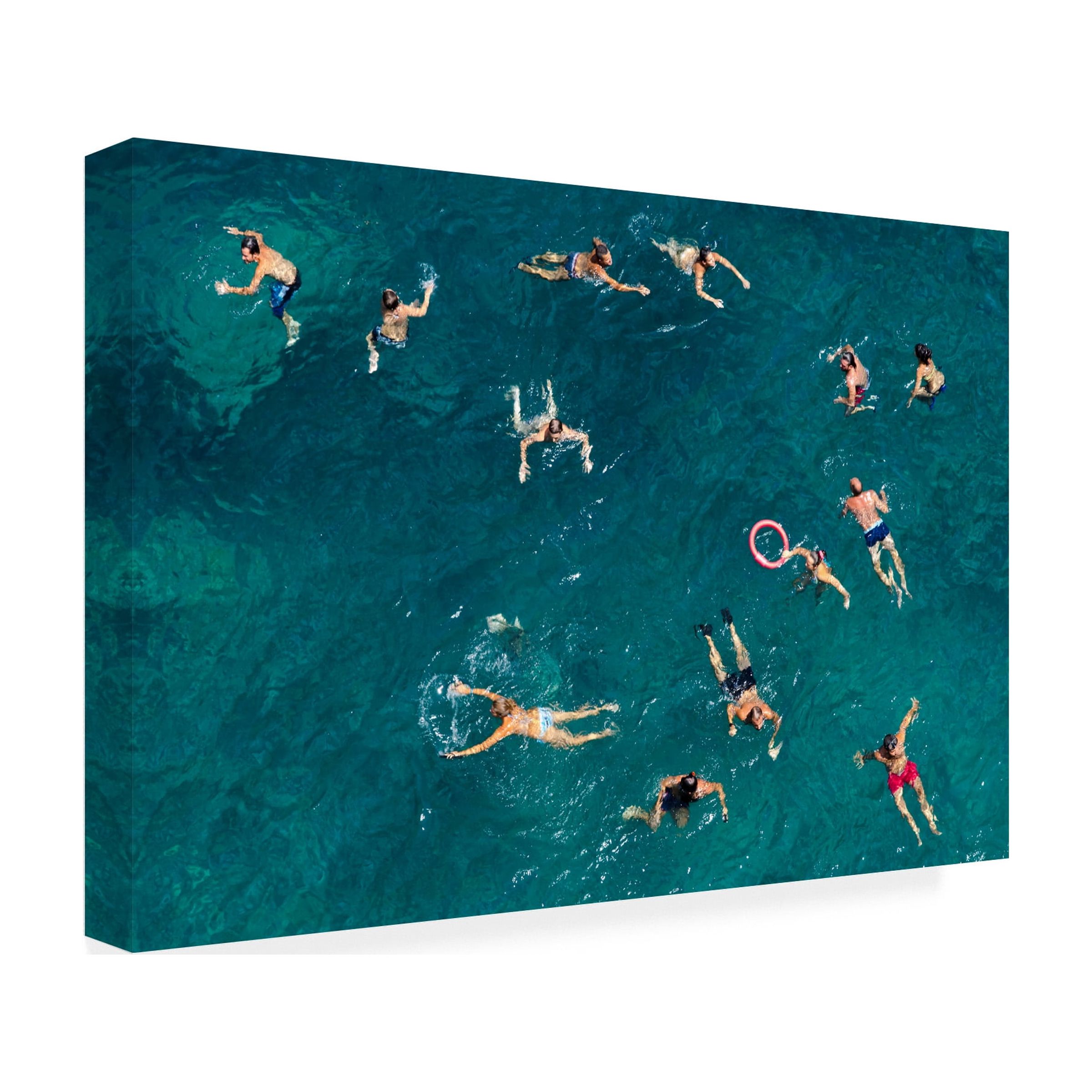 Carlo Tonti 'Swim' Canvas Art