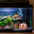 thumbnail image 3 of Decoración de pecera con forma de calabaza para escondite de peces, cueva de acuario, refugio para peces, decoración de pecera, 3 of 6