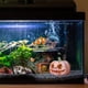 thumbnail image 4 of Escondite de peces en forma de calabaza, decoración para tanque de casa, refugio para cueva de peces, decoración para pecera, 4 of 5