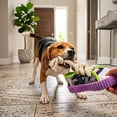 thumbnail image 6 of Dog Chew Toy Slipper With Squeaker for Aggressive Chewers, Durable Plush Tug Toy for Small Medium Dogs and Cats, 6 of 6