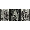 thumbnail image 2 of PixonSign Framed Canvas Print Wall Art Set - Black and White Fern Botanical Posters - Set of 3 Nature Wilderness Tropical Plants Arts Modern Wall Décor Minimal for Living Room - 12"x16" Black, 2 of 5