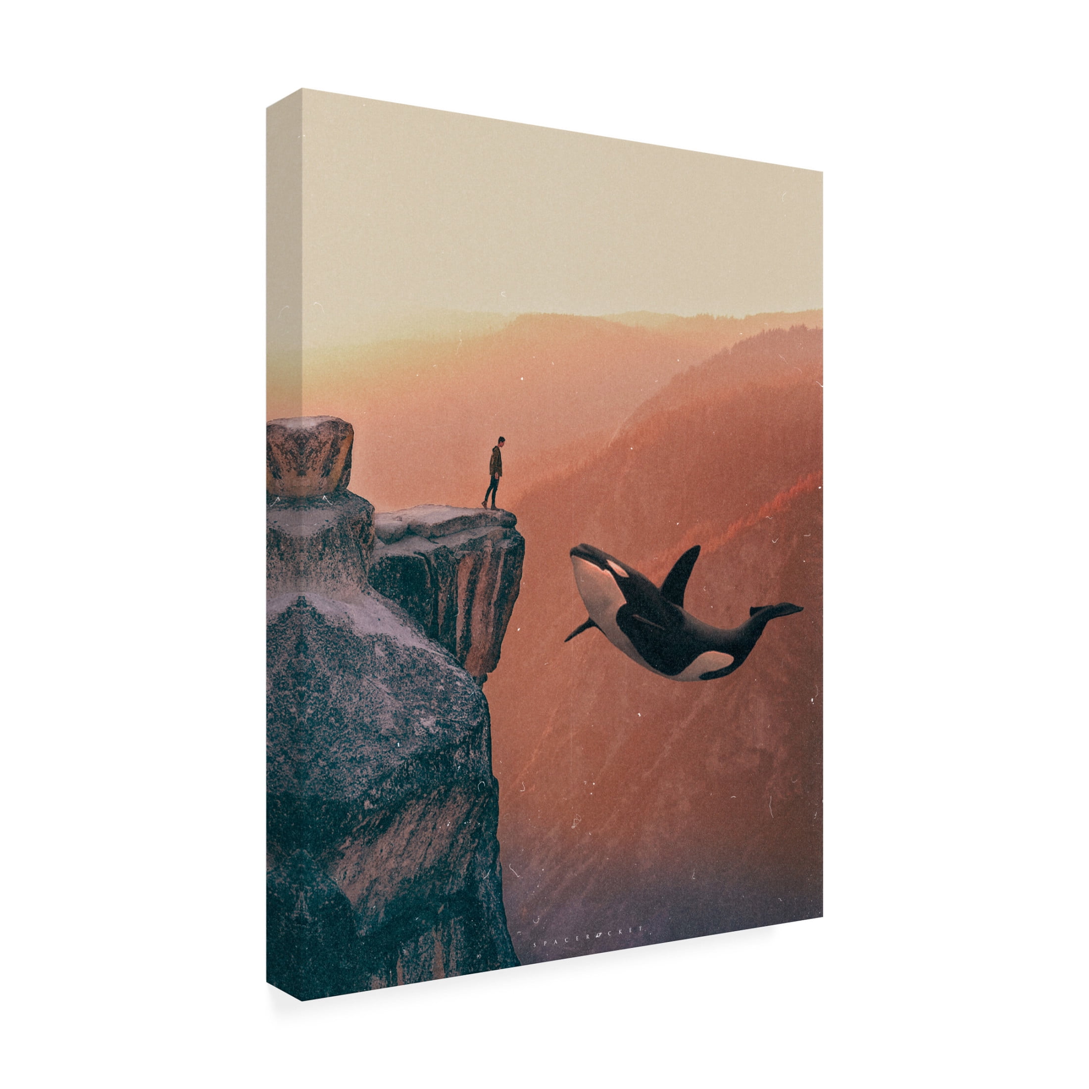 Trademark Fine Art spacerocket art  536 Canvas Wall Art