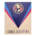 thumbnail image 1 of Cobertor Frazada Providencia Tamano Cunero Club America 1x1.3m Licencia, 1 of 8
