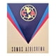 thumbnail image 1 of Cobertor Frazada Providencia Tamano Cunero Club America 1x1.3m Licencia, 1 of 8