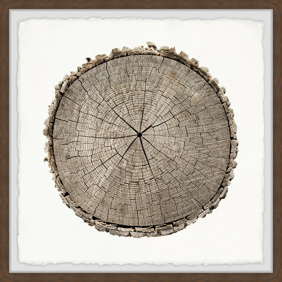 Marmont Hill Stuck in Time Framed Painting Print