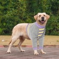 thumbnail image 4 of Polyester Dog Protective Shirt - Lightweight, Breathable, Striped Print - for Medium/Large Dogs' Injury Prevention, 4 of 7