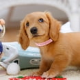 thumbnail image 3 of El collar de perro de cuero de PU es adecuado para perros pequeños, collar de perro pequeño ajustable con diamantes de imitación, 3 of 5