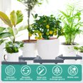 thumbnail image 3 of 2Pcs Planter Caddy with Wheels Square Rolling Planter Stand Heavy Duty Planter Roller Tray 360° Rolling Planter Dolly Practical Rolling Planter Base for Indoor Planter Pots, 3 of 10